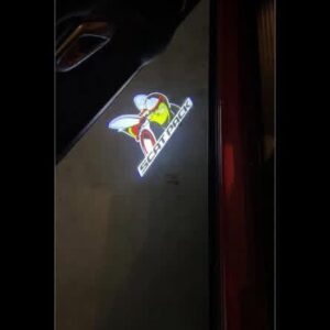 Door lights